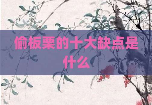 偷板栗的十大缺点是什么