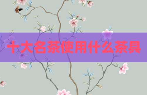 十大名茶使用什么茶具