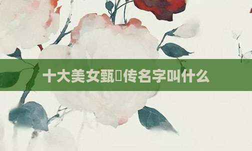 十大美女甄嬛传名字叫什么