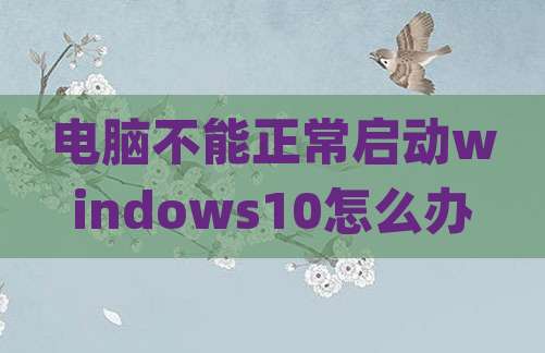 电脑不能正常启动windows10怎么办