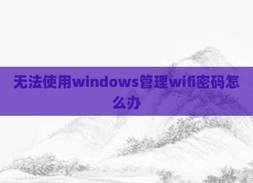 无法使用windows管理wifi密码怎么办