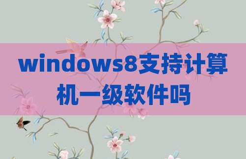 windows8支持计算机一级软件吗