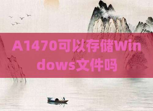 A1470可以存储Windows文件吗