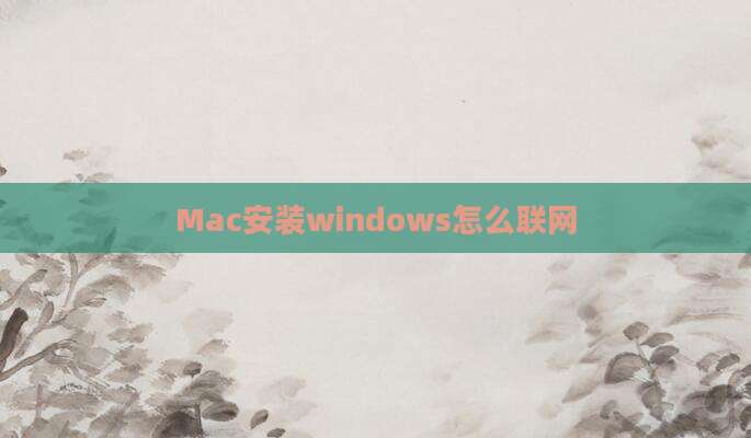 Mac安装windows怎么联网