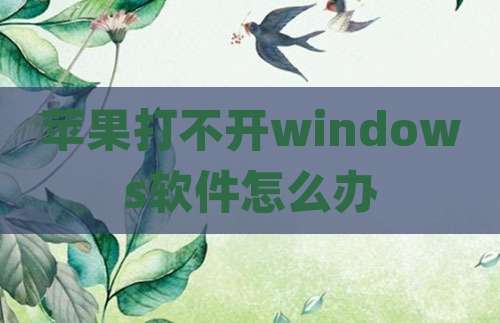 苹果打不开windows软件怎么办