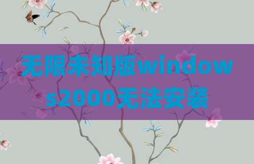 无限未知版windows2000无法安装