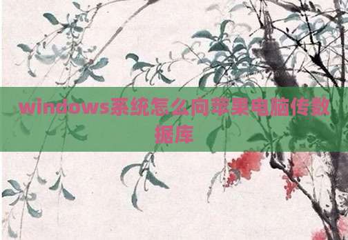 windows系统怎么向苹果电脑传数据库