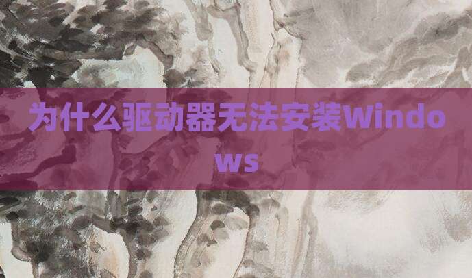 为什么驱动器无法安装Windows