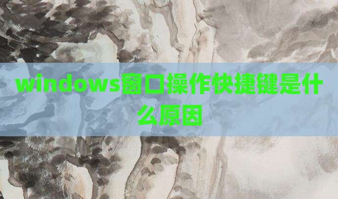 windows窗口操作快捷键是什么原因