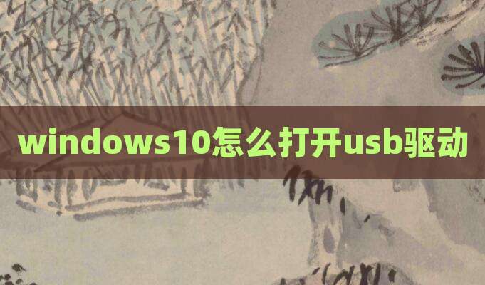 windows10怎么打开usb驱动