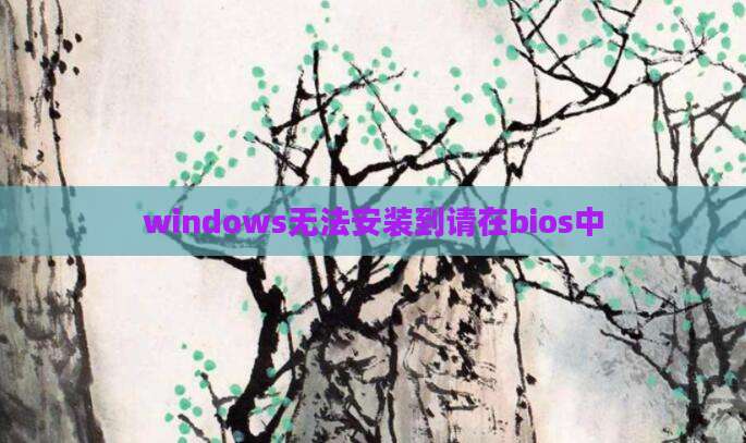 windows无法安装到请在bios中