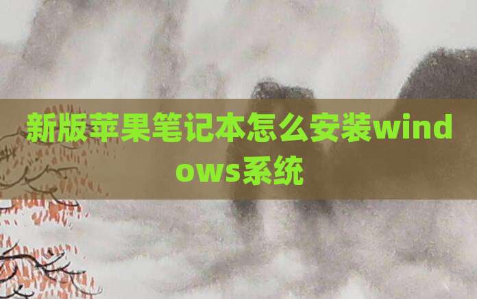 新版苹果笔记本怎么安装windows系统