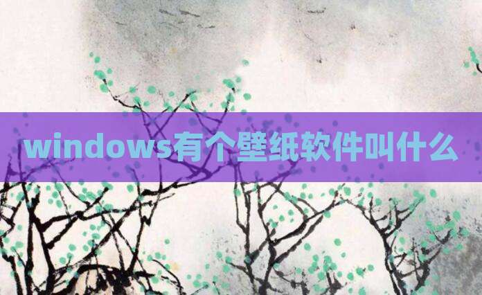 windows有个壁纸软件叫什么