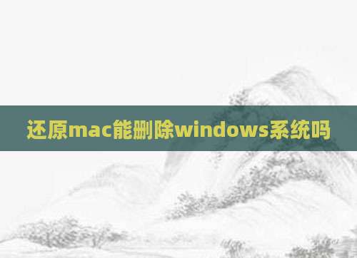 还原mac能删除windows系统吗
