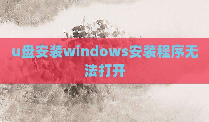 u盘安装windows安装程序无法打开