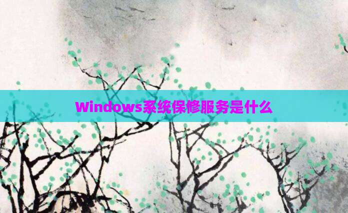 Windows系统保修服务是什么