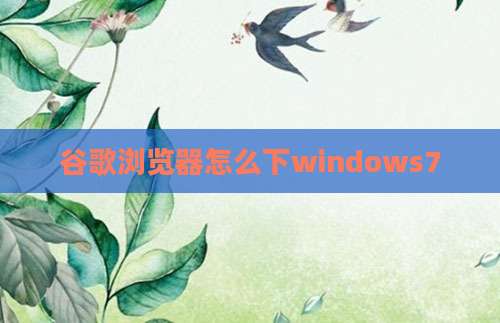 谷歌浏览器怎么下windows7