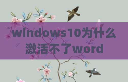 windows10为什么激活不了word