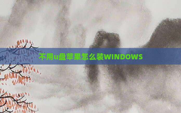 不用u盘苹果怎么装WINDOWS