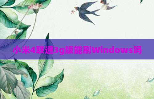 小米4联通3g版能刷Windows吗