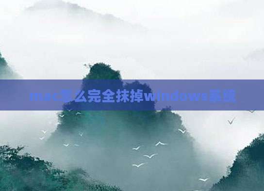 mac怎么完全抹掉windows系统