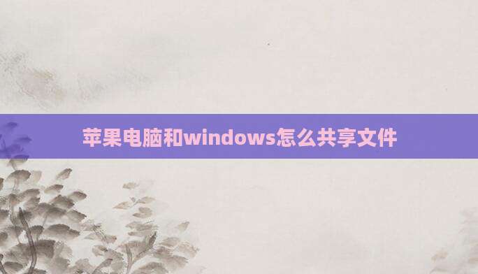 苹果电脑和windows怎么共享文件