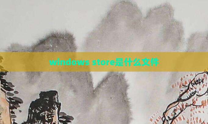 windows store是什么文件