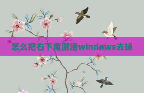 怎么把右下角激活windows去掉