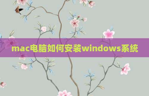 mac电脑如何安装windows系统