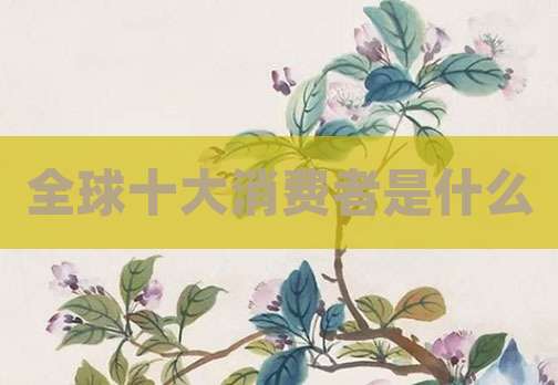 全球十大消费者是什么