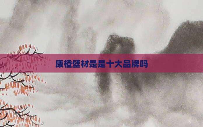康橙壁材是是十大品牌吗