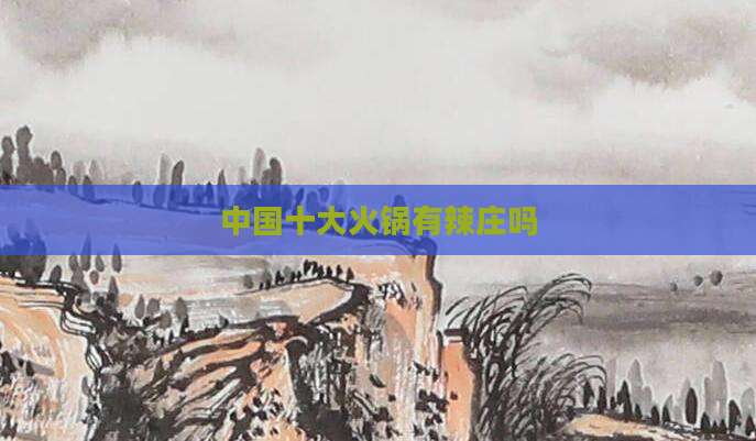 中国十大火锅有辣庄吗