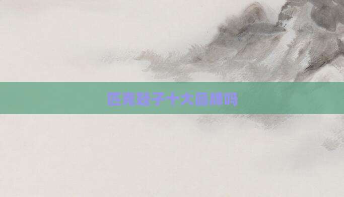 匹克鞋子十大品牌吗