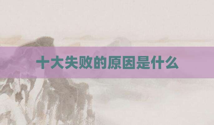 十大失败的原因是什么