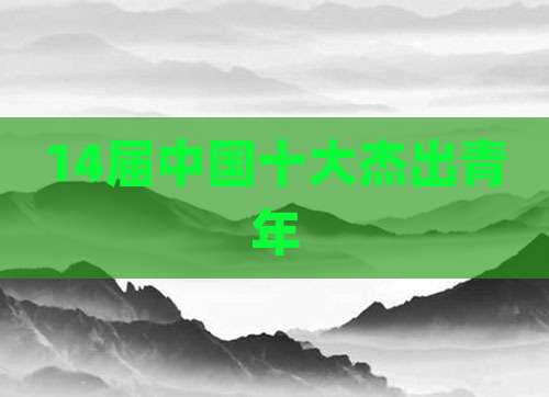 14届中国十大杰出青年