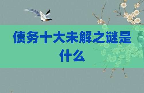 债务十大未解之谜是什么