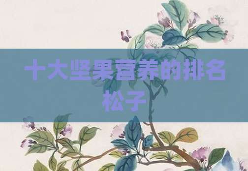十大坚果营养的排名松子