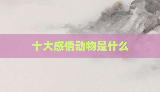 十大感情动物是什么