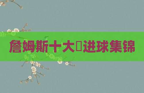 詹姆斯十大囧进球集锦
