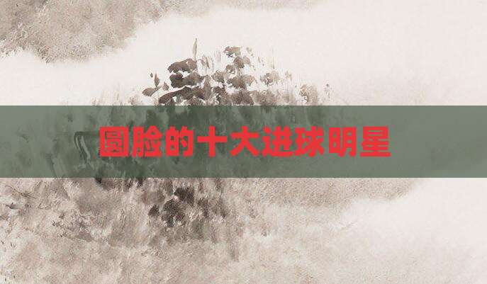 圆脸的十大进球明星