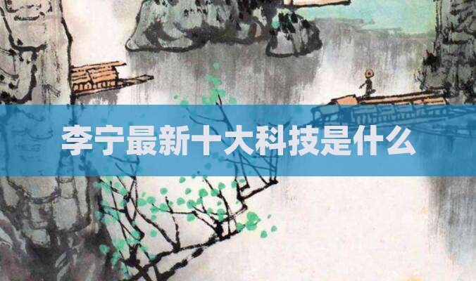 李宁最新十大科技是什么