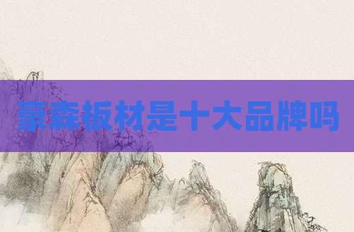 豪森板材是十大品牌吗