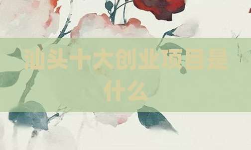 汕头十大创业项目是什么