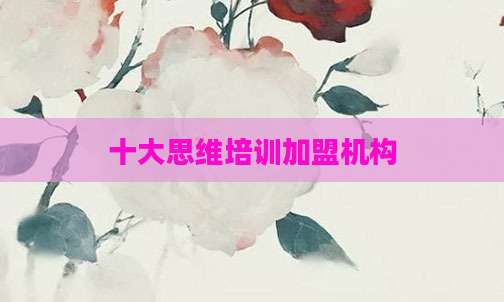 十大思维培训加盟机构