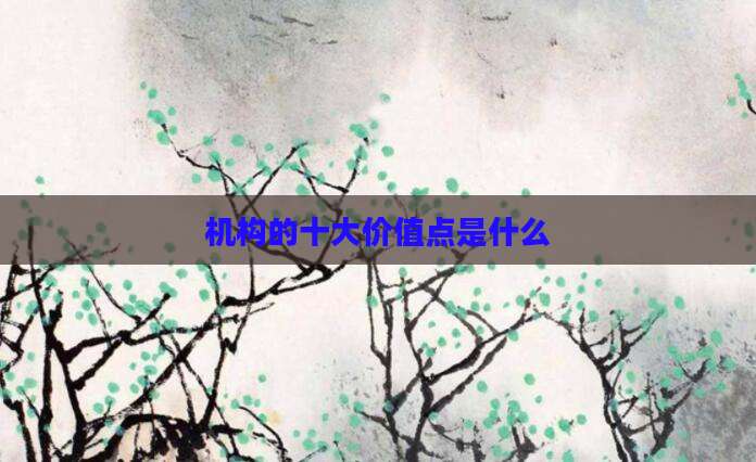 机构的十大价值点是什么