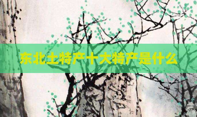 东北土特产十大特产是什么