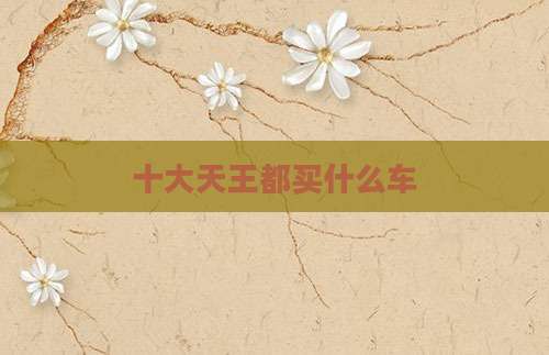 十大天王都买什么车