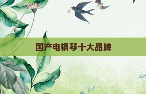 国产电钢琴十大品牌