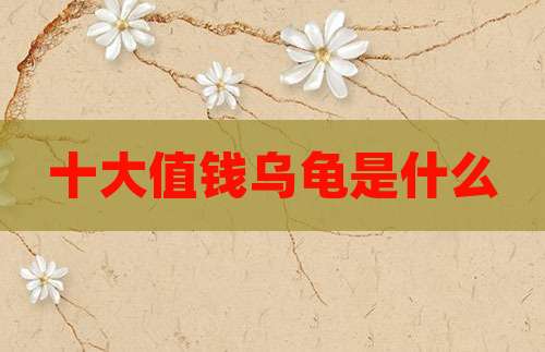 十大值钱乌龟是什么