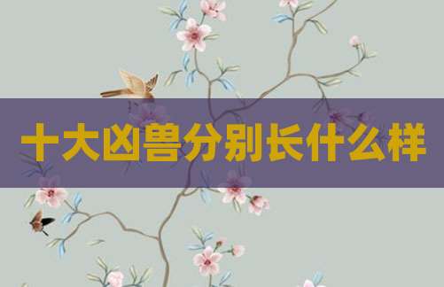 十大凶兽分别长什么样